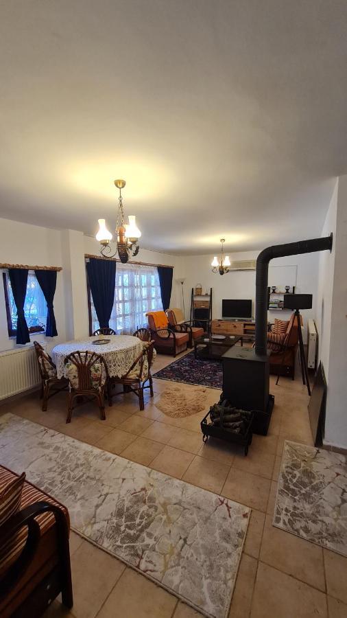 فيلا Antik House إزنيق المظهر الخارجي الصورة