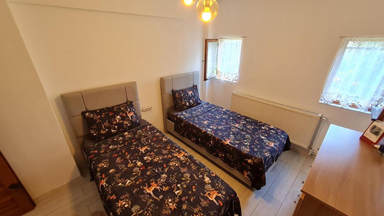 فيلا Antik House إزنيق المظهر الخارجي الصورة